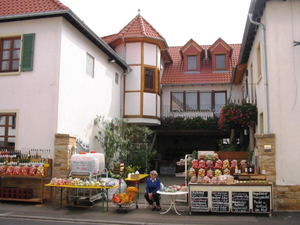 Ferienwohnungen Dehn Bad Dürkheim Εξωτερικό φωτογραφία